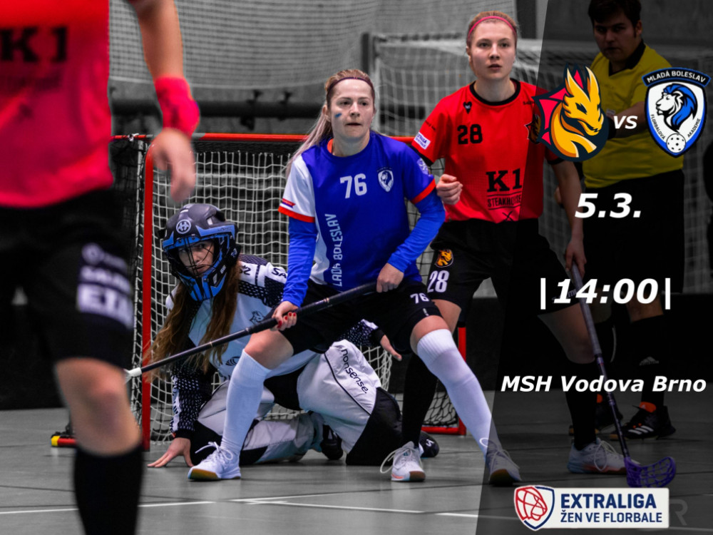 O víkendu náš ženský tým odehraje v Brně své další 2 zápasy play-down !